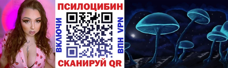 Купить где  Темников  Псилоцибиновые грибы Cubensis 